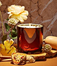 APOTHEKE Harvest Collection Pumpkin Ginger 3-Wick Candle, 26 oz.
