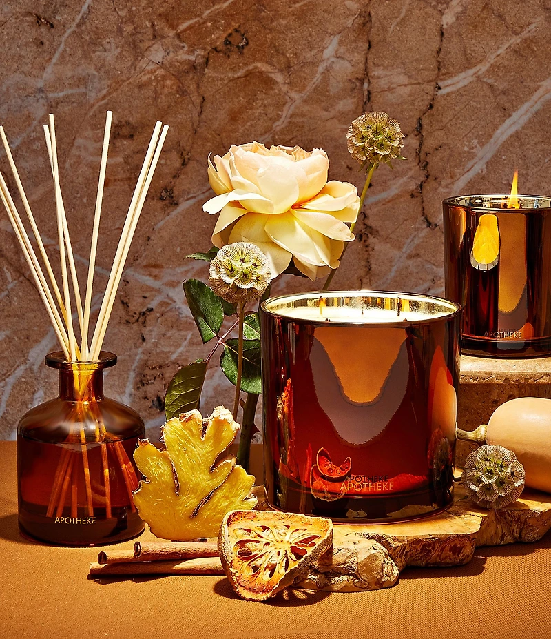 APOTHEKE Harvest Collection Pumpkin Ginger 3-Wick Candle, 26 oz.