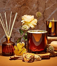 APOTHEKE Harvest Collection Pumpkin Ginger 3-Wick Candle, 26 oz.