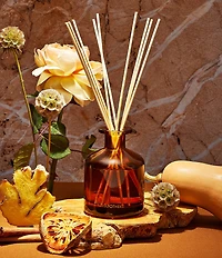 APOTHEKE Harvest Collection Pumpkin Ginger Reed Diffuser, 6.7 oz.