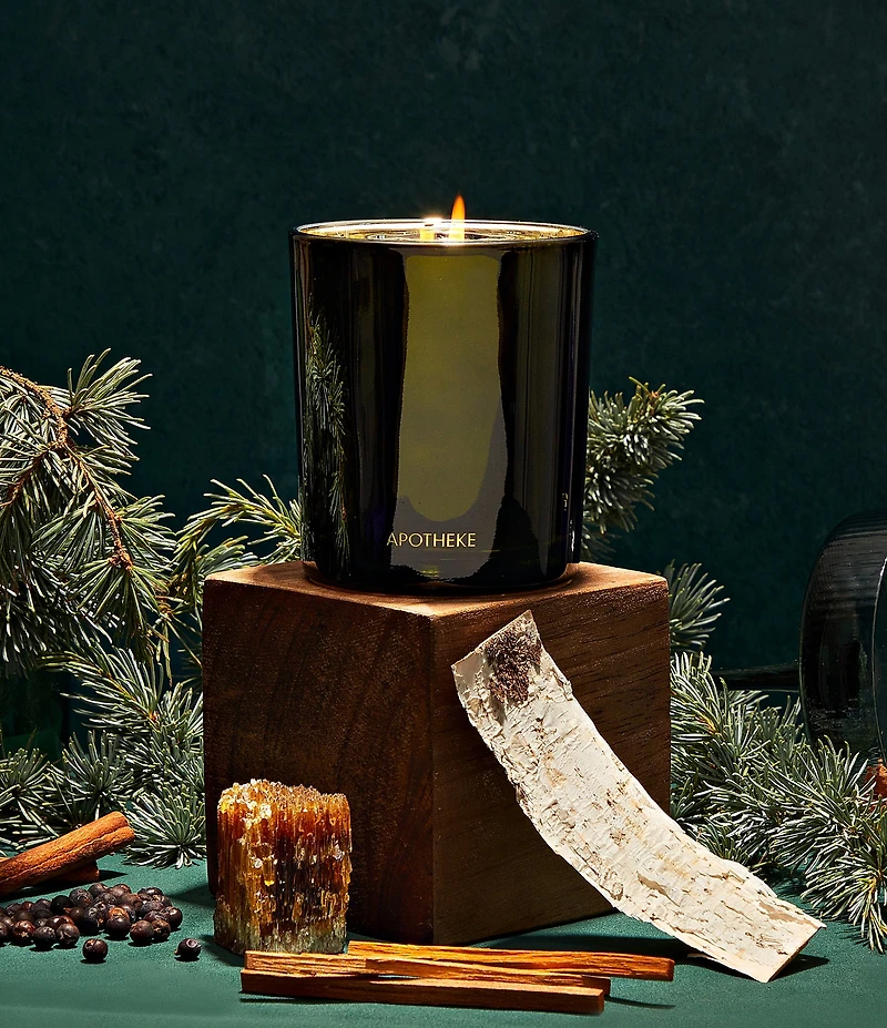 APOTHEKE Harvest Collection Juniper Birch 1-Wick Candle, 10.5 oz.