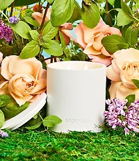 APOTHEKE Limited Edition Garden Collection Holy Basil and Rosewater Specialty 2-Wick Concrete Candle, 14 oz.