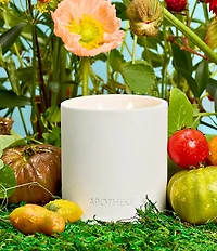 APOTHEKE Limited Edition Garden Collection Tomato Tarragon Specialty 2-Wick Concrete Candle, 14 oz.