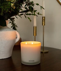 APOTHEKE Sea Salt Grapefruit 3-Wick Scented Candle, 26 oz.