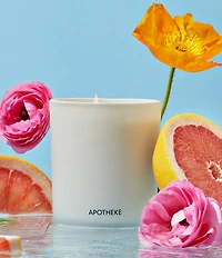APOTHEKE Sea Salt Grapefruit Classic Candle, 10.5 oz.