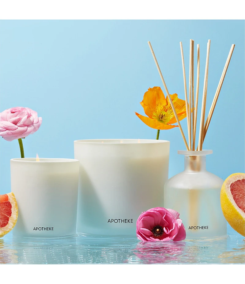 APOTHEKE Sea Salt Grapefruit Classic Candle, 10.5 oz.