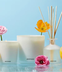 APOTHEKE Sea Salt Grapefruit Reed Diffuser, 6.7 oz.