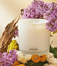 APOTHEKE White Vetiver 3-Wick Scented Candle, 26 oz.