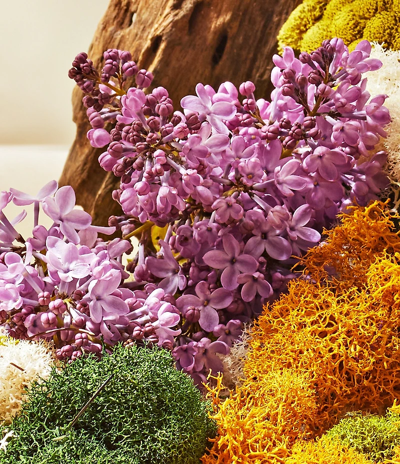 APOTHEKE White Vetiver Room Spray, 3.4 oz.