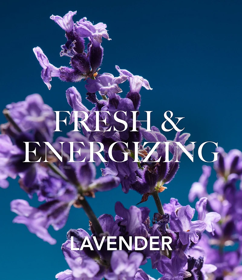 Aramis Intuition Home & Away Duo Gift Set