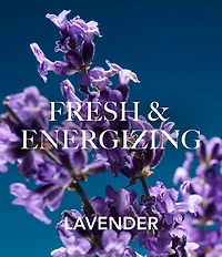 Aramis Intuition Home & Away Duo Gift Set