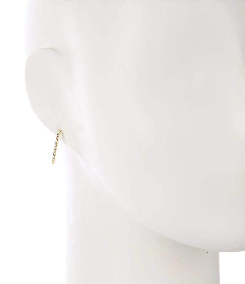 Argento Vivo Rope Textured Oblong Hoop Earrings