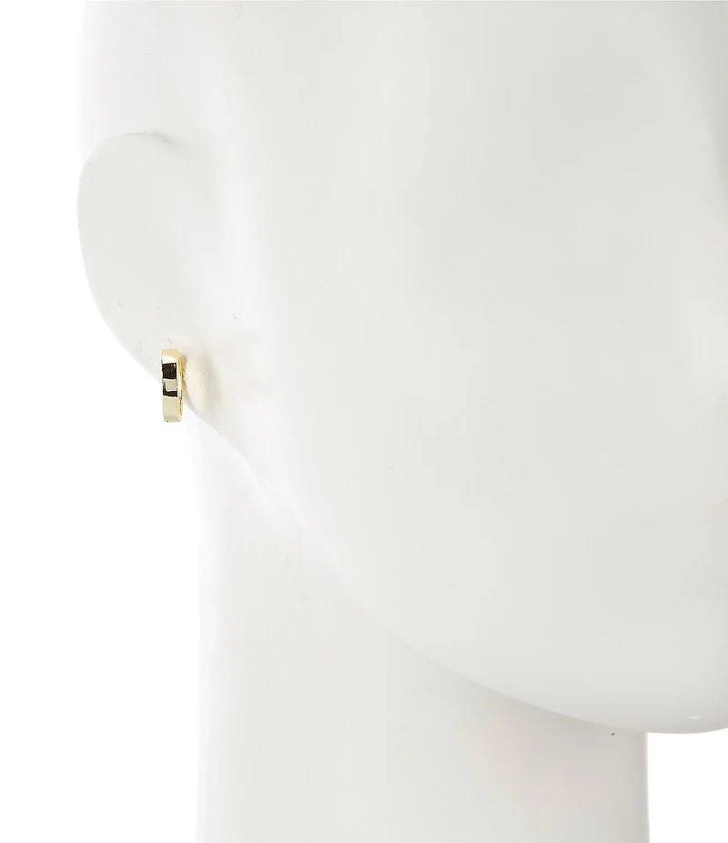 Argento Vivo Thick Hoop Earrings