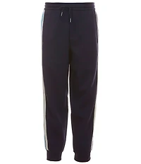 Armani Exchange Stripe Jogger Pants