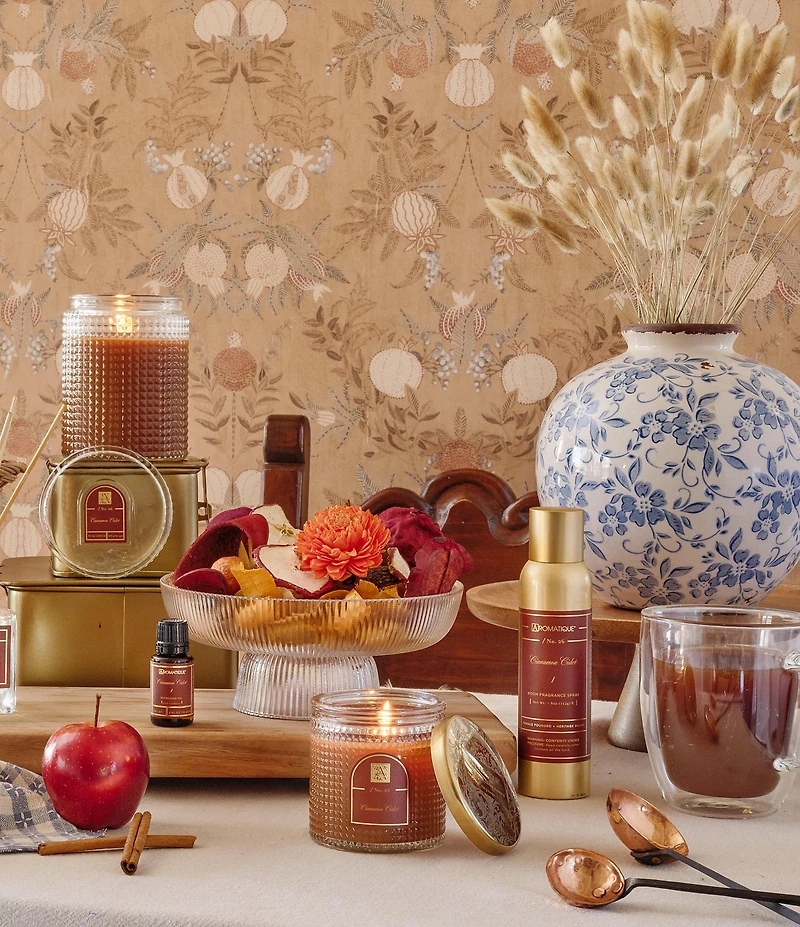Aromatique Cinnamon Cider Aerosol Room Spray