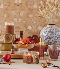 Aromatique Cinnamon Cider Aerosol Room Spray