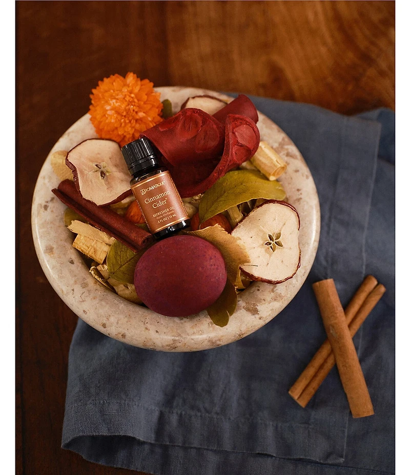 Aromatique Cinnamon Cider Decorative Home Fragrance Potpourri Standard Bag