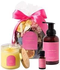 Aromatique Citrus Blooms 4-Piece Classic Collection Set