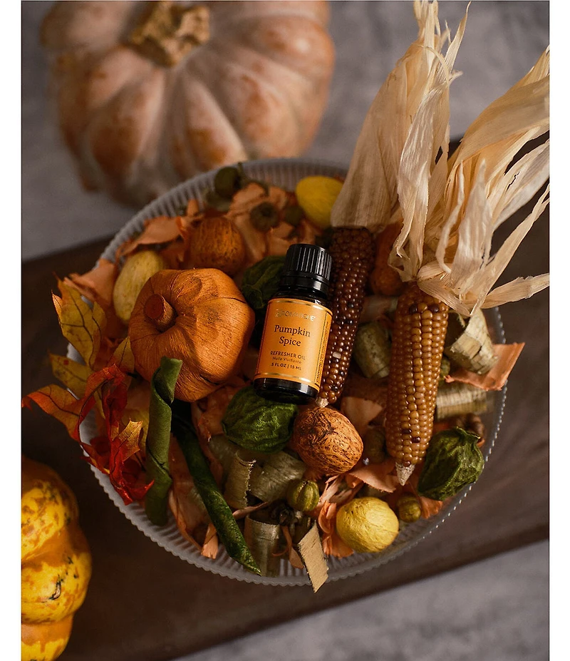 Aromatique Pumpkin Spice Decorative Home Fragrance Potpourri Standard Bag