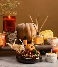 Aromatique Pumpkin Spice Decorative Home Fragrance Potpourri Standard Bag