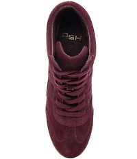 ASH Boradia Suede Lace Up High Wedge Sneakers
