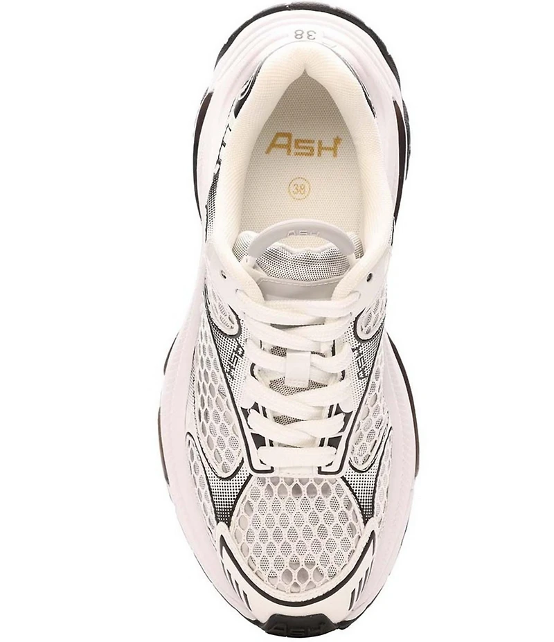 ASH Dragon Mesh Lace Up Platform Sneakers