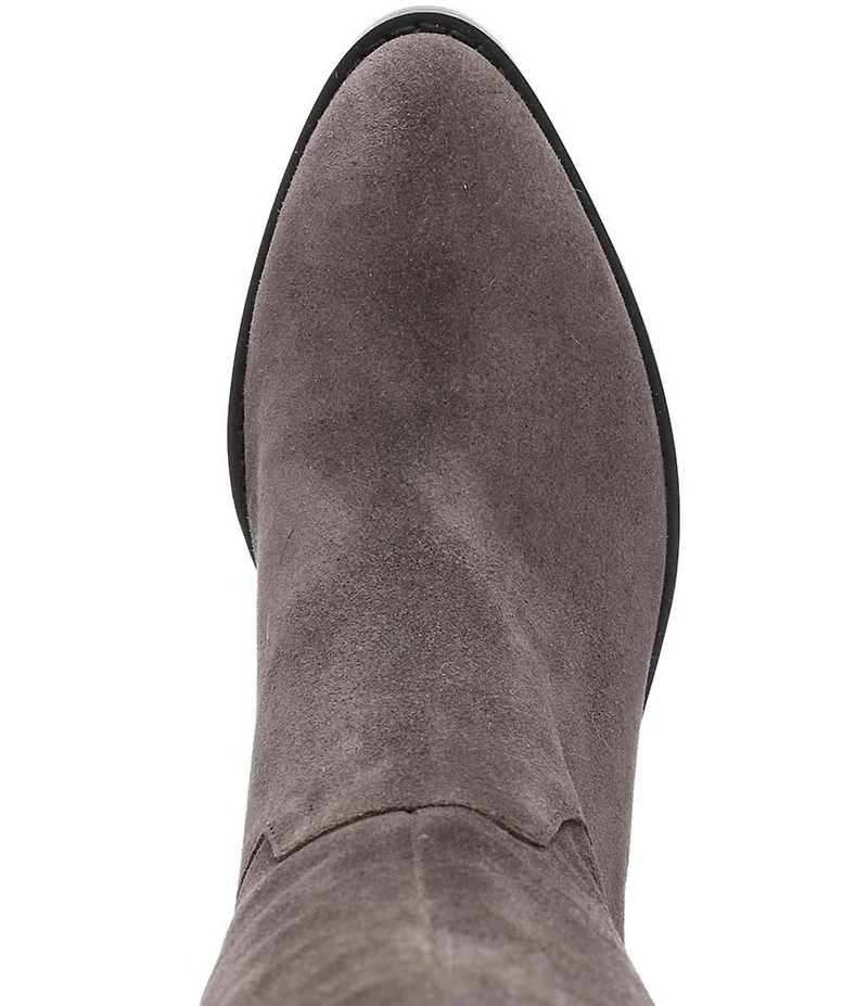 ASH Jocelyn Suede Hidden Wedge Tall Boots