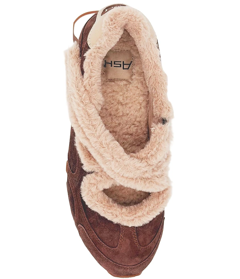 ASH Kore Bis Fur Suede Faux Fur Lined X-Band Sneaker Flats