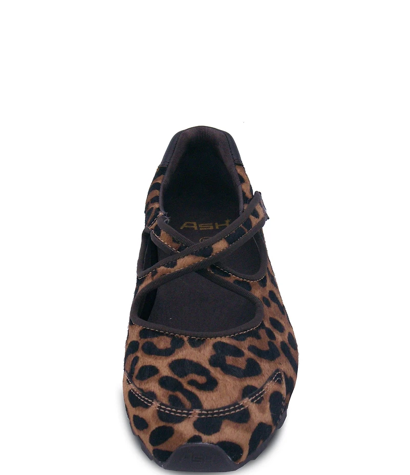 ASH Kore Bis Leopard Print Calf Hair X-Band Sneaker Flats