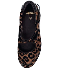 ASH Kore Bis Leopard Print Calf Hair X-Band Sneaker Flats