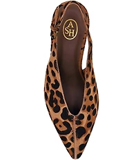 ASH Vera Leopard Print Calf Hair Slingback Pumps