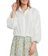 ASTR the Label Cordey V-Neckline Long Balloon Sleeve Blouse