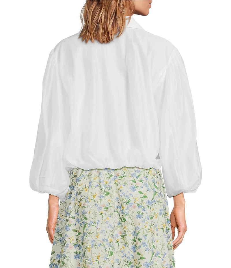 ASTR the Label Cordey V-Neckline Long Balloon Sleeve Blouse