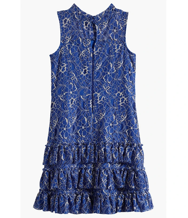 Ava & Yelly Big Girls Sleeveless Patterned Lace Drop-Waist Dress