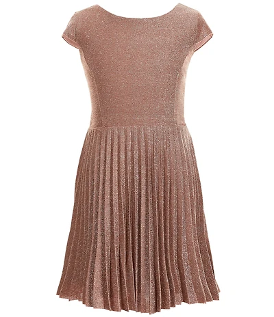 Ava & Yelly Big Girls Short Sleeve Accordion-Pleated-Skirted Shimmer Fit-And-Flare Dress