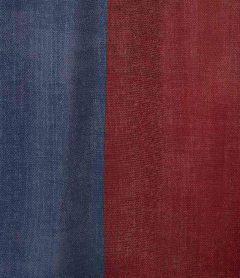 Avanti Linens Texas Flag Decorative Shower Curtain