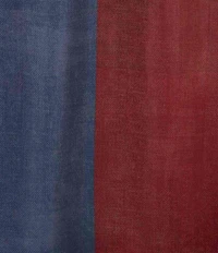 Avanti Linens Texas Flag Decorative Shower Curtain