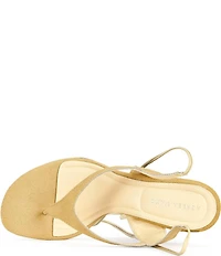 Azalea Wang Tamsie Calf Hair Ankle Tie Thong Pedestal Heel Sandals