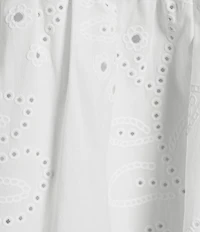 Bailey Rose Eyelet V-Neck Peter Pan Collar Short Sleeve Drop Waist Mini Dress