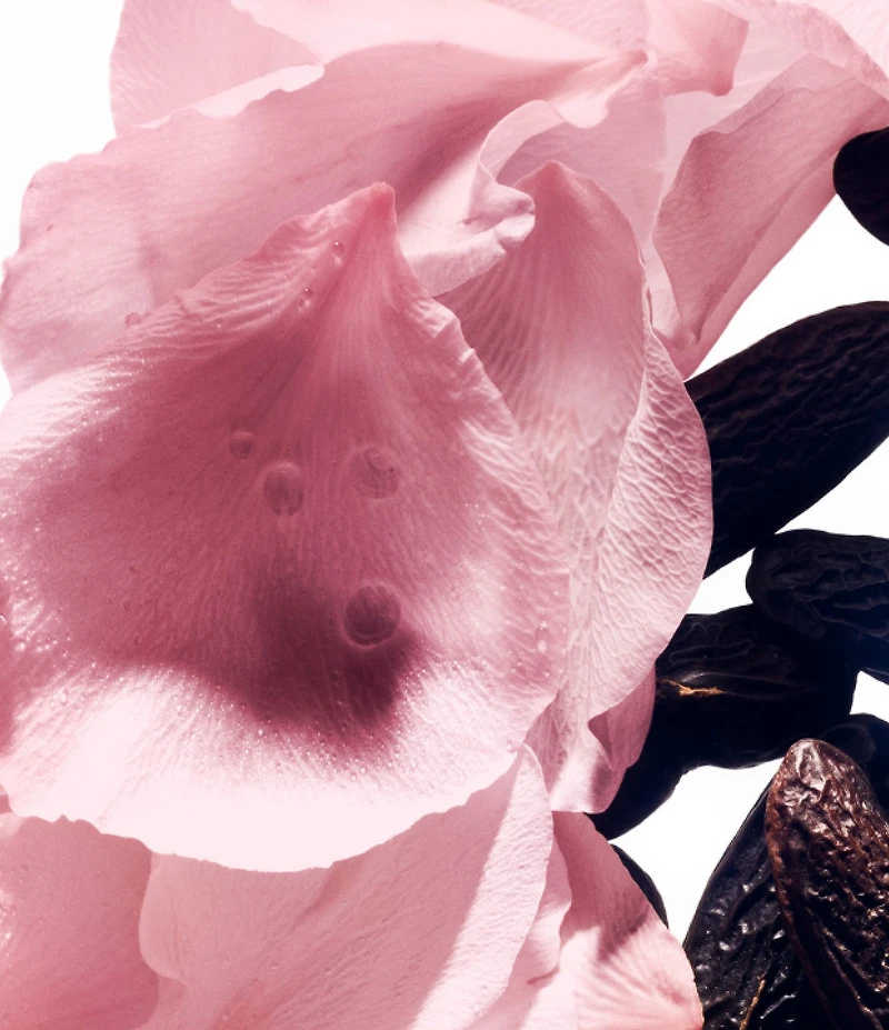 Balmain Paris Rose de Soie Eau de Toilette