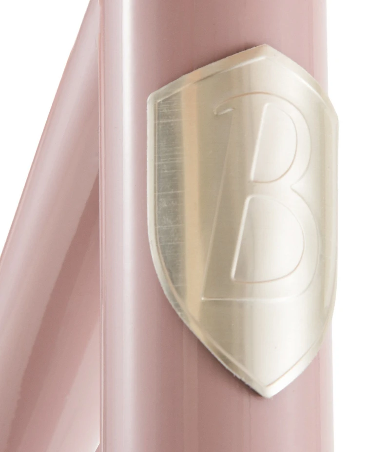 Banwood Bikes Kids First Go! 12-Inch Balance Bike