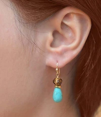 Barse Brown Smoky Tiger's Eye and Turquoise Double Drop Earrings