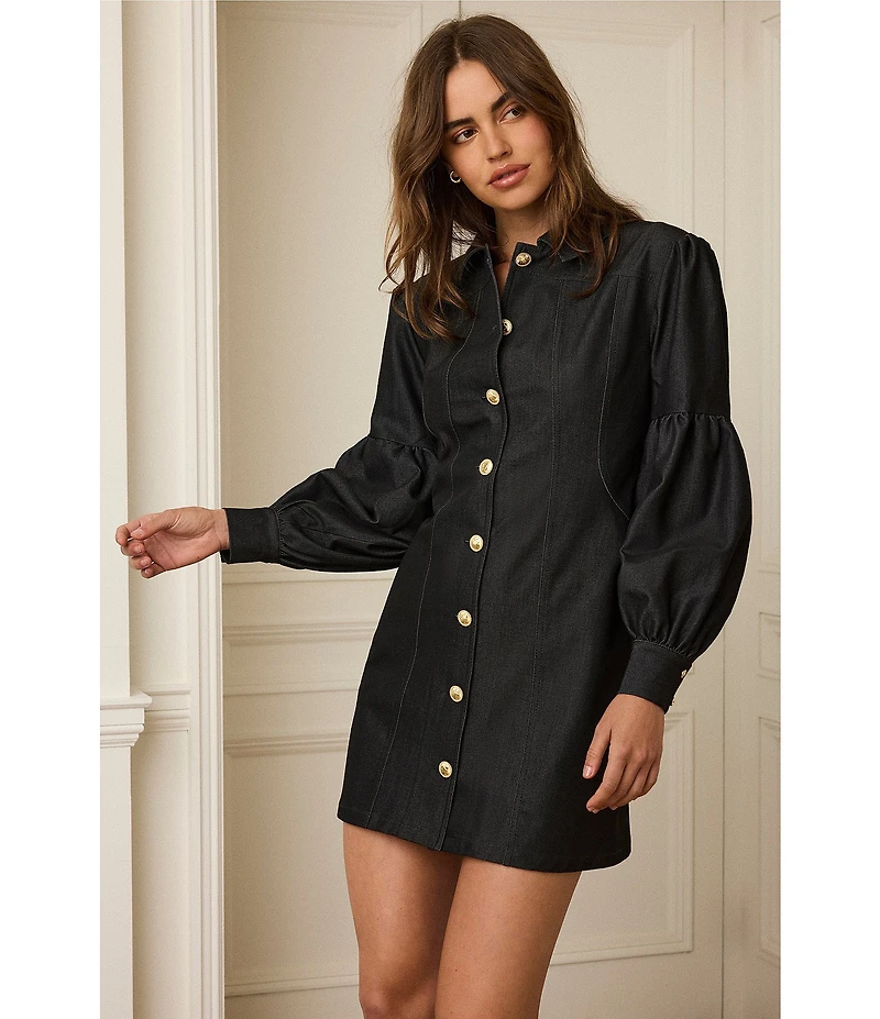 BCBG Denim Puff Sleeve Mini Shirtdress