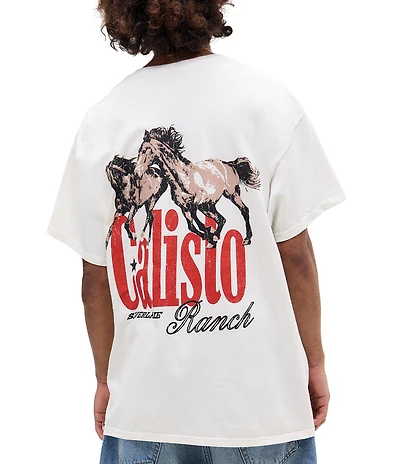 BDG Urban Outfitters Calisio Graphic Short Sleeve T-Shirt