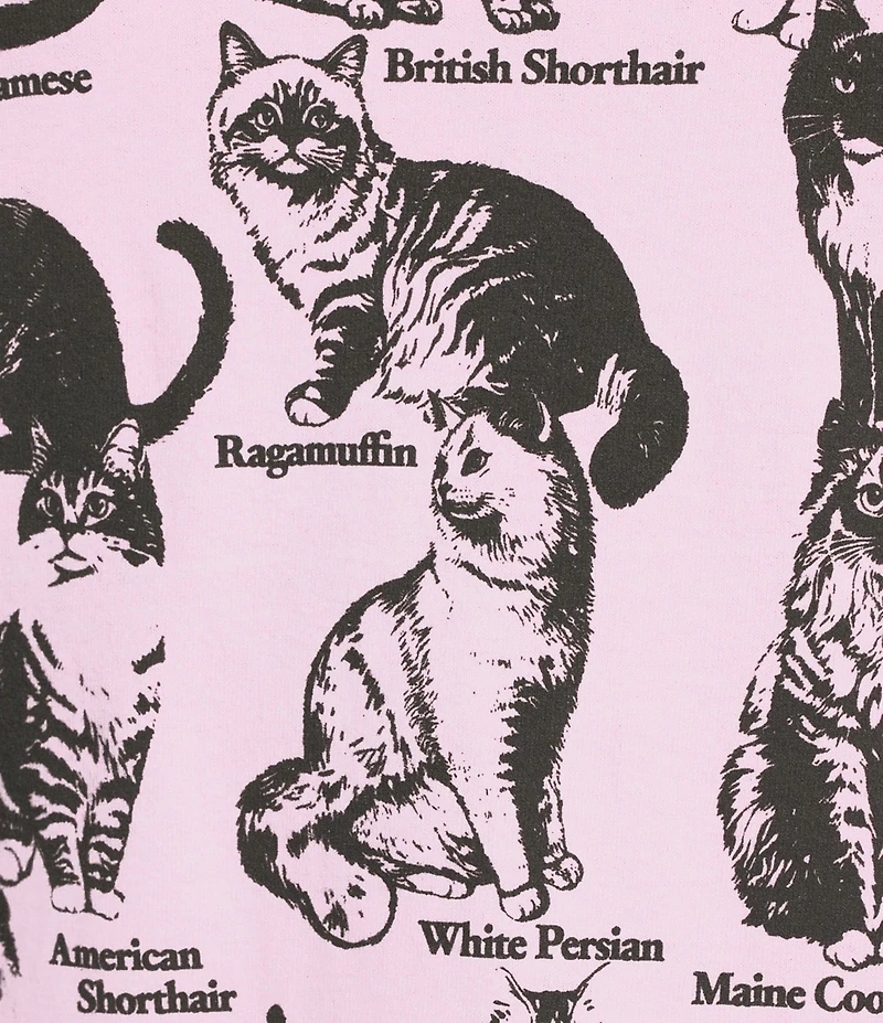 BDG Urban Outfitters Cat Catalogue Knit T-Shirt