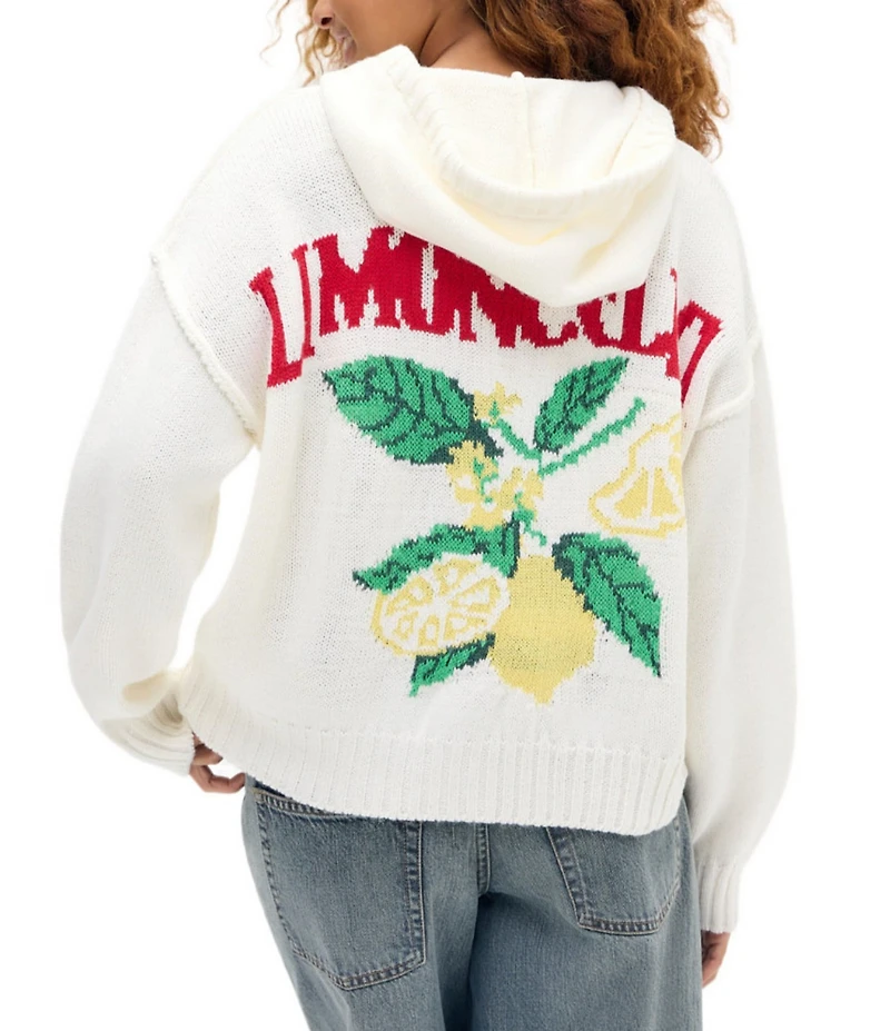 BDG Urban Outfitters Limoncello Hoodie Cardigan