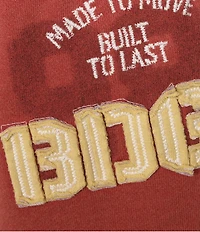 BDG Urban Outfitters Retro Micro Shorts