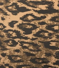 BDG Urban Outfitters Je Taime Leopard Print Camisole