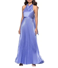 Betsy & Adam Long Charmeuse Cowl Halter Neck Sleeveless Pleated Dress