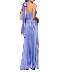 Betsy & Adam Long Charmeuse Cowl Halter Neck Sleeveless Pleated Dress